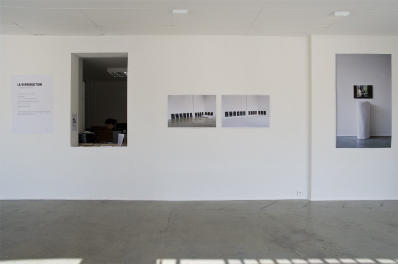 La reproduction - exposition 10