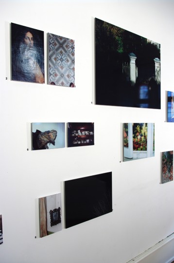 Portrait de famille - exposition 4