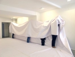 La reproduction - exposition - installation