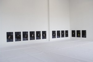 La reproduction - exposition 12