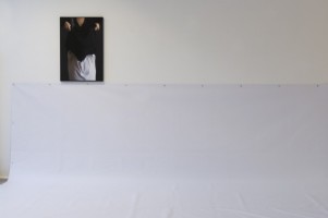 La reproduction - exposition 2