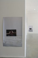 La reproduction - exposition 4