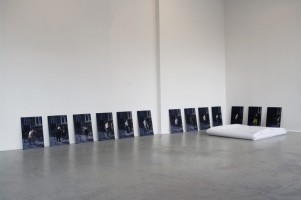 La reproduction - exposition 5