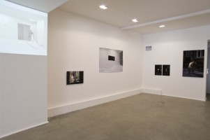 La reproduction - exposition