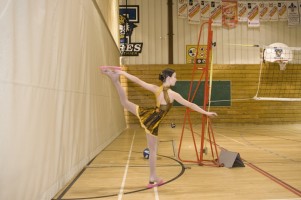 Les patineuses - 3