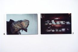 Portrait de famille - exposition 5